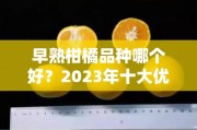 早熟柑橘品種哪個(gè)好？2023年十大優(yōu)選推薦及種植技巧解析