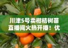 川津5號(hào)賣(mài)柑桔樹(shù)苗直播間火熱開(kāi)播！優(yōu)質(zhì)高產(chǎn)柑桔苗限時(shí)直降搶購(gòu)中