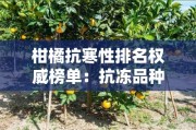 柑橘抗寒性排名權(quán)威榜單：抗凍品種表現(xiàn)與地域適應(yīng)性解析