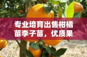 專(zhuān)業(yè)培育出售柑橘苗李子苗，優(yōu)質(zhì)果樹(shù)苗品種齊全